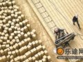 “豆腐石头”成马耳他国宝
