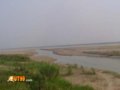 白日依山尽,黄河入海流——黄河入海口自驾