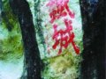 风景名胜区条例：破坏景观植被最高罚款百万
