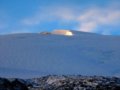 组图：第一条登顶哈巴雪山狗狗--大灰狼