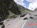 司机在西藏公路上撞死十余头牦牛(组图)