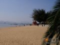鼓浪屿旅行游记(图)