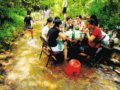 杭州园文部门呼吁市民文明避暑“脚下留情”