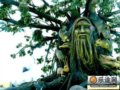世界级高科技电影娱乐园长影世纪城引人入胜