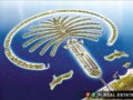 耗资140亿美元的人工岛将迎来首批居民