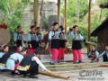 游荡凤凰(图)