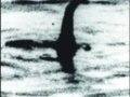 英古生物学家惊爆内幕 尼斯湖怪兽竟是大象