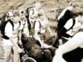 瘫痪男坐轮椅登上威尔士最高峰