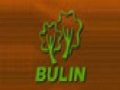 步林-BULIN