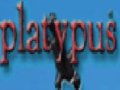 platypus