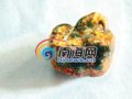 考古发现：海南岛40万年前曾有熊猫巨猿生活