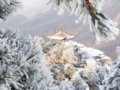 冬季游庐山:迷蒙如梦(图)
