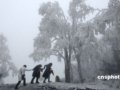 贵阳出现冰挂景致