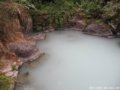 穿越高黎贡密林，沐浴摆老塘变色温泉