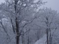 晒晒-春节黄山雪景