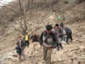 2008-03-01大米团红三连五班聂各庄－香山邮局拉练