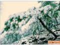 [多图]3月29日大雪雾中箭扣长城行摄照片