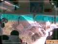 无知者无畏－我的徒手三峰