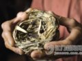 “中国燕都” 燕岩攀岩人讲述勇敢者的谋生之路(图)