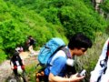 远峰树影---5.17平谷东指壶穿越游记