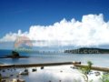 北部湾海岛户外垂钓兴起
