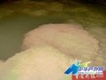 石柱探险 发现神秘“三眼洞”