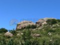 碾子山登山节6月28日开幕