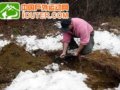 冰天雪地的户外---DIY强手制作的火床[组图]