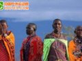[自助]非洲：独享野性奢华(组图)