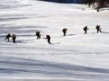 OZARK携手CMDI学员出战09年中国登山滑雪比赛