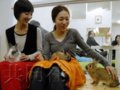 日本又出“兔兔咖啡馆”！