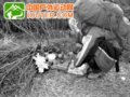 退休教师爬山失踪4个月 搜救队大年夜再上山
