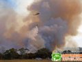 澳大利亚山林大火已致108人死亡(组图)
