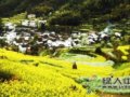 三八踏春去：游山玩水赏花行