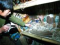 登山爱好者捡拾北京郊区抗日战役千余残片