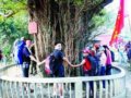 百勇士穿越原始森林