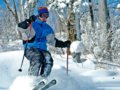 最IN的冬日游戏 东北滑雪正当时 滑雪场推荐