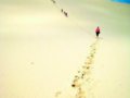 酷玩澳大利亚摩顿岛：体验世界第三大沙岛