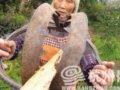38岁男子进山被野猪夹夹住后冻死