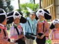 发髻间的历史——红杏探秘贵州长角苗
