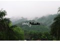 广州4月出行 名山自驾全攻略