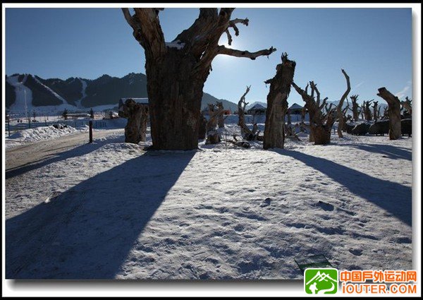 乌鲁木齐滑雪_乌鲁木齐照片_蚂蜂窝图片相册_3482923.jpg