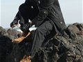 2011服博会 FORESUN造就传奇(图)
