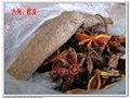 鲤草绝杀、我的顶级窝料！