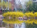 城阳赏花节下月开幕 所有登山景点全免费(图)