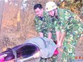 驴友登崂山突发心脏病 消防员进山将人救出