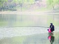 老人蹲坐湖中心石头上钓鱼 因下雨水位上涨被困
