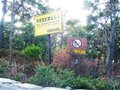 清明驴友集中登崂山 背锅碗走野路逃门票(图)