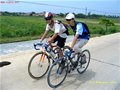 油价再次上涨 私家车主纷纷回归“单车族”