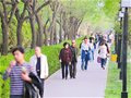 西安有条“暴走街”成了白领减压新乐土